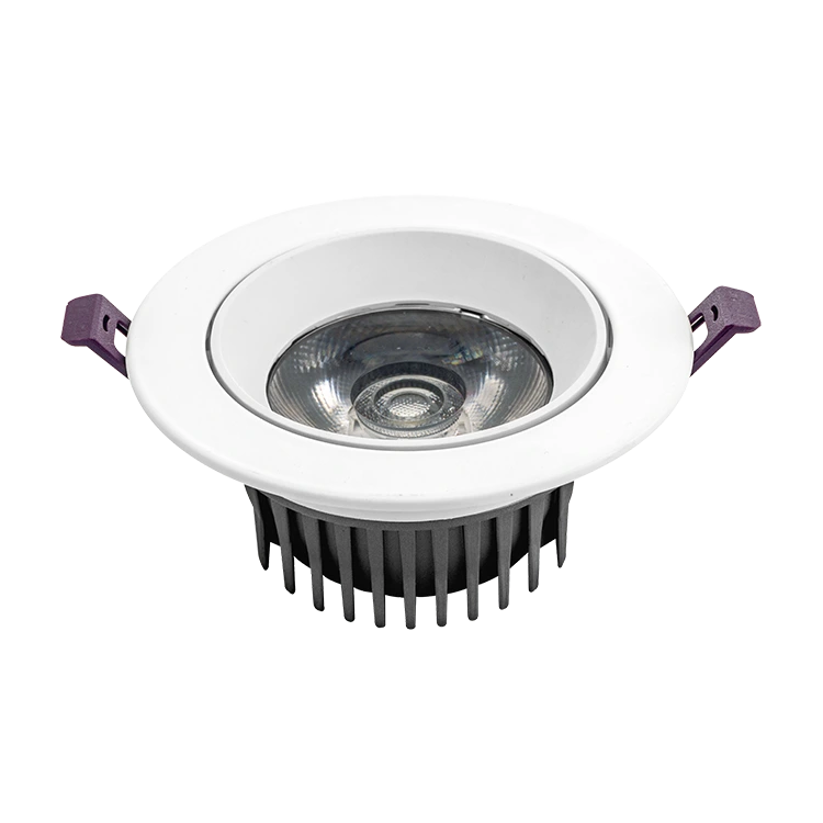 Stor linse downlight